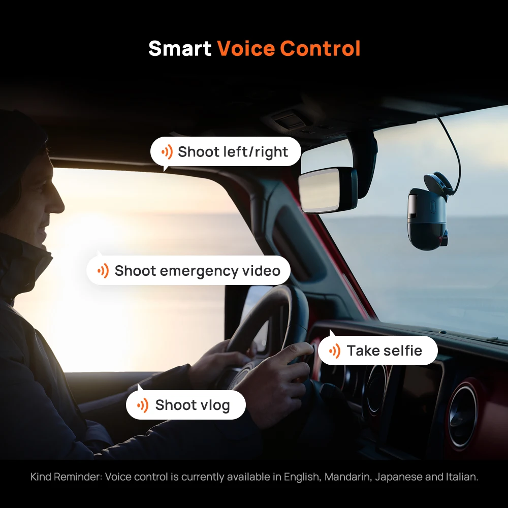 Smart Voice Control languages